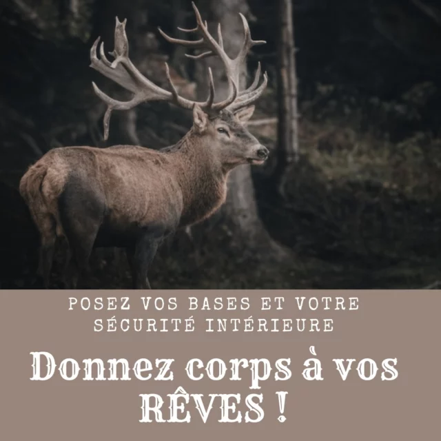 L’année 2025, marquée par l’énergie du chiffre 9, nous invite à faire du neuf 😊. C’est le moment idéal pour poser des intentions alignées avec ce que vous voulez incarner, ici et maintenant.

Lors de mes prochains ateliers aux Sables d’Olonne, nous travaillerons avec l’énergie du Nord de la roue médecine, en connexion avec le Grand Cerf. 🦌

Le Grand Cerf, par ses cornes, nous rappelle notre lien au subtil, à Inti, Père Ciel, et à nos intuitions. Avec ses pattes solidement ancrées dans la Terre Mère, il nous montre comment incarner notre vision dans la matière. Son regard doux et assuré nous invite à accueillir pleinement qui nous sommes tout en avançant vers notre direction.

Ces ateliers sont une opportunité pour :
🌟 Retrouver votre sécurité intérieure
🌿 Vous reconnecter à vos rêves
✨ Transformer ce qui freine votre élan
💫 Aligner vos intentions avec votre être profond

📅 Quand ?

Samedi 25 janvier : Construire vos bases
Samedi 22 février : Consolider et ancrer
💰 Tarifs :

110€ pour une journée
200€ pour les deux ateliers
📍 Lieu : Les Sables d’Olonne

Ces espaces sont conçus pour vous permettre de vous dire "oui", de redécouvrir votre puissance créatrice et de poser des actes en accord avec vos désirs.

Et vous, quel rêve attendez-vous d’incarner cette année ?
👉 Inscription par DM ou via mon site : https://cecile-roche.fr

Avec cœur,
Cécile Roche 🌿
Praticienne en soins énergétiques et chamaniques #DéveloppementPersonnel #Spiritualité #Chamanisme #ÉnergieDuRêve #Incarnation #Alignement #PuissanceCréatrice #TransformationIntérieure#Ancrage#ConfianceEnSoi #Intuition