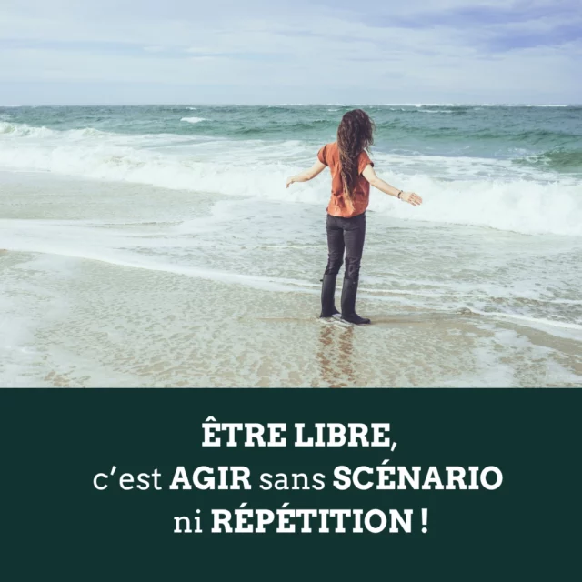 Immense merci aux personnes qui viennent à moi en individuel ou en groupe et aux côtés desquelles je chemine aussi ! MERCI pour le partage de cette phrase médecine qui, peut-être, résonnera aussi pour vous 🌻#chamanisme#developpementpersonnel#liberté
